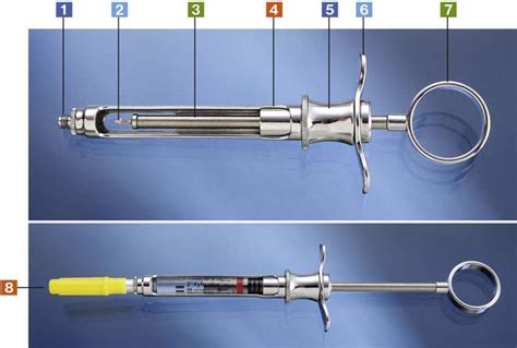 3. Local Anesthetic Syringe and Components | Pocket Dentistry