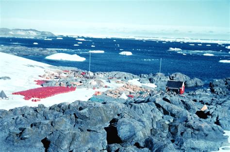 Territory of Adelaide Island (Graham Land, Antarctica) (A better world ...