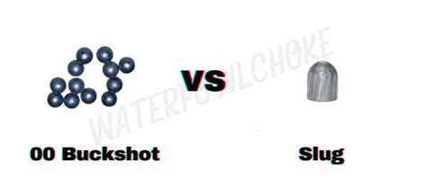 00 Buckshot vs. Slug: Which is better for hunting? - WaterfowlChoke