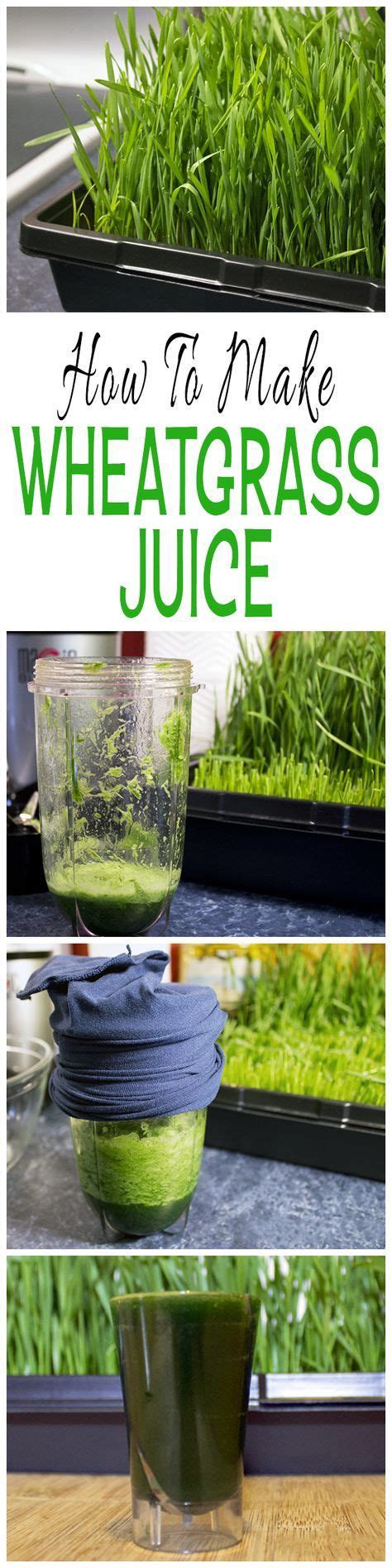 How To Make Wheatgrass Juice • Glitter 'N' Spice | Juicing for health, Wheat grass, Wheatgrass ...