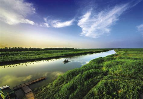 西洞庭湖国家级湿地自然保护区_精彩瞬间_综合动态_常德市林业局