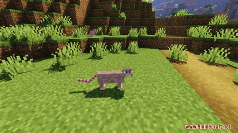 Rats In Minecraft Resource Pack - 1Minecraft