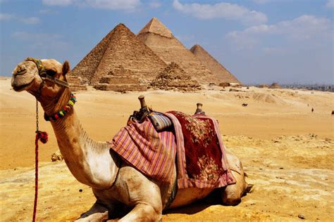 Half-Day Mummies & Pyramids Tour in Cairo | My Guide Cairo