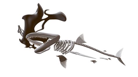 Hammerhead Shark Skeleton - Buy Royalty Free 3D model by 3DHorse [ec4006e] - Sketchfab Store