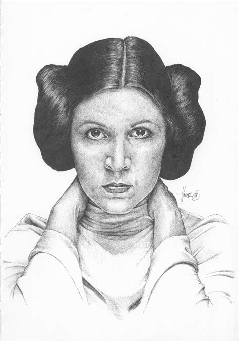 Princess Leia Ink Drawing | Celebrity art drawings, Princess leia, Drawings