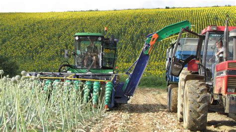 | Harvesting onions seeds equipment