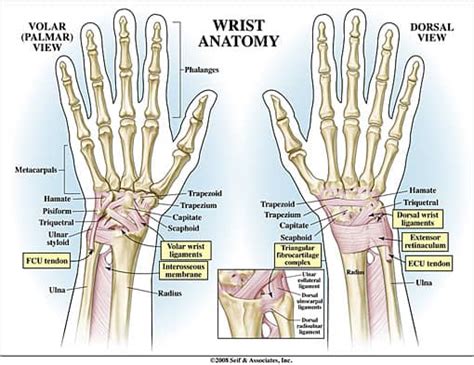 Lunotriquetral Ligament Repair