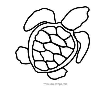 Baby Sea Turtle Coloring Sheet - XColorings.com