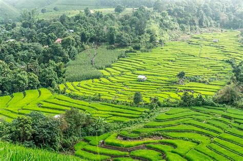 HD wallpaper: aerial photography of Rice Terraces, thailand, chiang mai ...