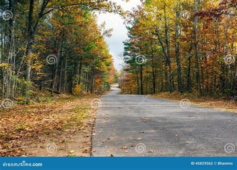 Fall on a country road stock photo. Image of leaves, fall - 45829562