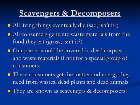 Food Chains, Scavengers & Decomposers “they’re everywhere!” - ppt download