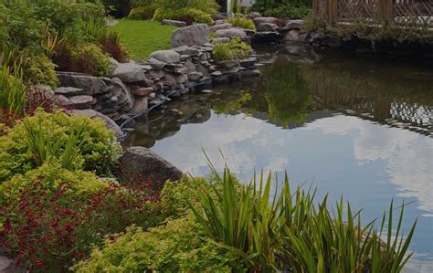 water-garden-installation-ma-waterscapes – Waterscapes of New England