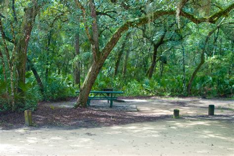 Camping in Florida | Florida Hikes!