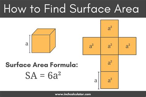 31+ cuboid surface area calculator - TimothyConnan