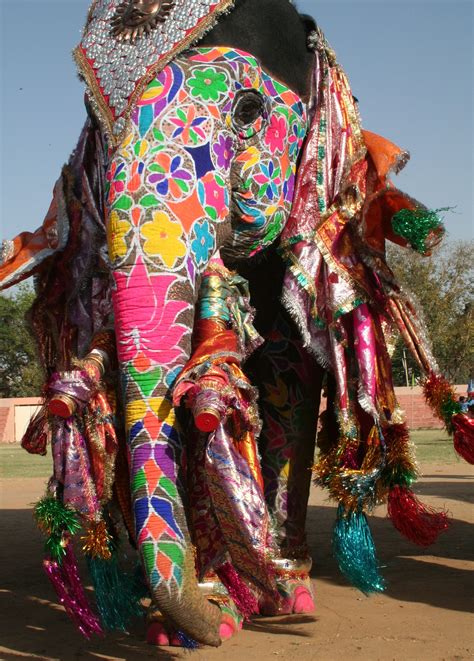 painted elephant Festival india | Painted Elephants and their Headdresses | Pinterest | Painted ...