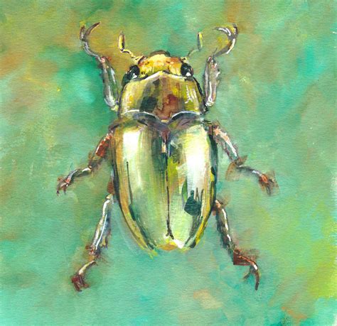 Gold Bug Watercolor Insect Specimen Canvas Art Print - Garrott Designs