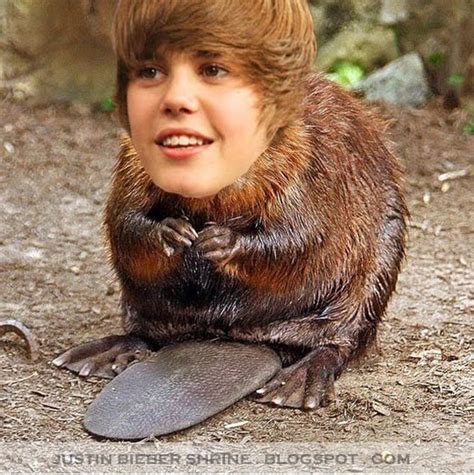 FunNy CreaTion: funny justin bieber