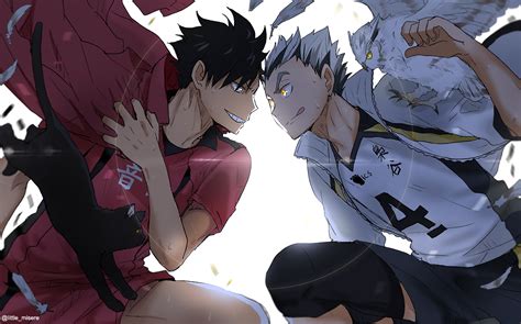 Haikyū!! vs Volleyball: Nekoma & Fukurodani HD Wallpaper by Kurot