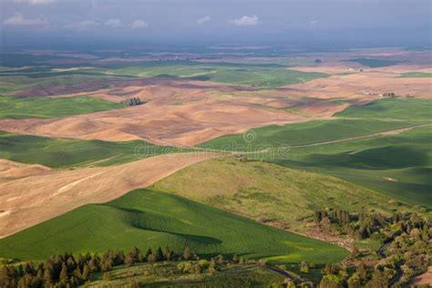 Aerial View of the Farmland in the Palouse Region of Eastern Washington ...