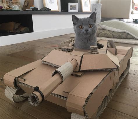 PsBattle: This cat in a cardboard tank : r/photoshopbattles