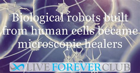 Biological robots built from human cells became microscopic healers