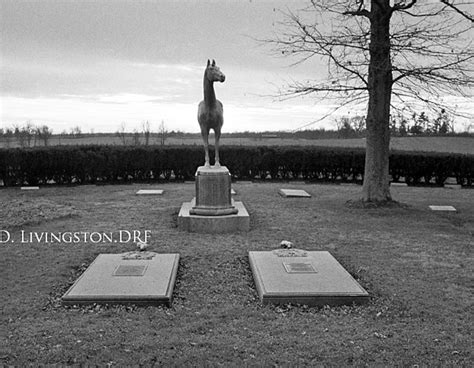 Fair Play and Mahuba's graves. Man O' War statue and grave in back | Horses, Horse racing, Racehorse