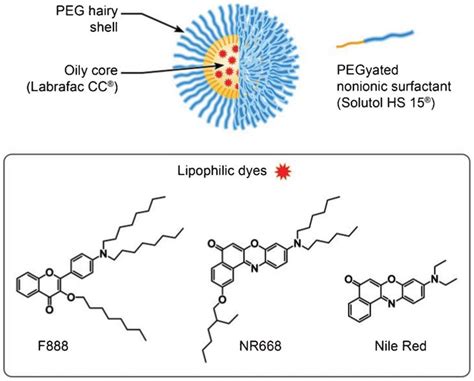 Schematic presentation of a nano-droplet and chemical structure of the... | Download Scientific ...