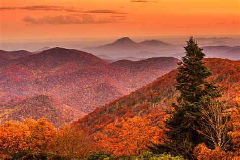 Brasstown Bald: What To Expect on Your Epic Fall Summit Hike (2024)