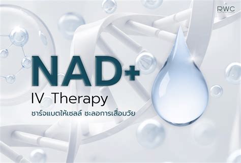 NAD+ IV Therapy ตัวช่วยฟื้นฟูและชะลอความแก่ เสริมภูมิคุ้มกัน