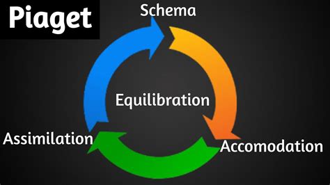 Piaget : Assimilation, Accomodation, Equilibration, Schema | Green Star - YouTube