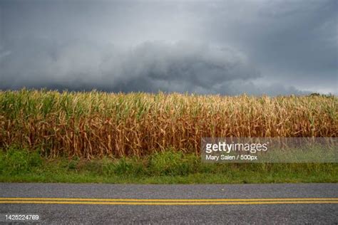 Salen Summer Photos and Premium High Res Pictures - Getty Images