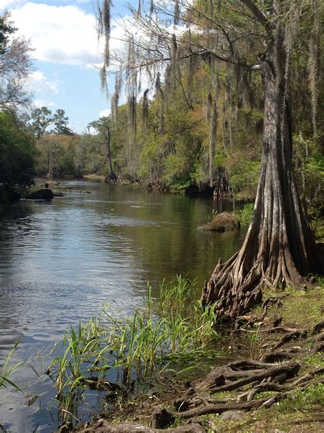 View of the Withlacoochee River from Stumpknocker's in Dunnellon, FL by mr | Everglades florida ...