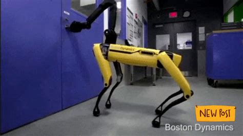 Boston Dynamics video: Watch ‘Black Mirror’ robot dog ‘Spot’ armed with new attachment ...