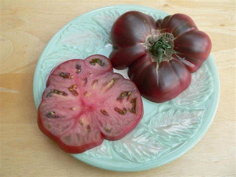 How A Seed Saver Discovered One Of Our Favorite Tomatoes | WBUR News