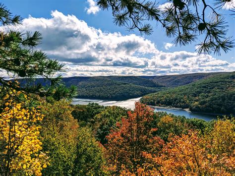 Allegheny National Forest - Go Wandering