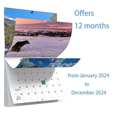 Dogs Pooping In Beautiful Places Calendar 2024, Dogs Pooping Calendar 2024, Dog Pooping Wall ...