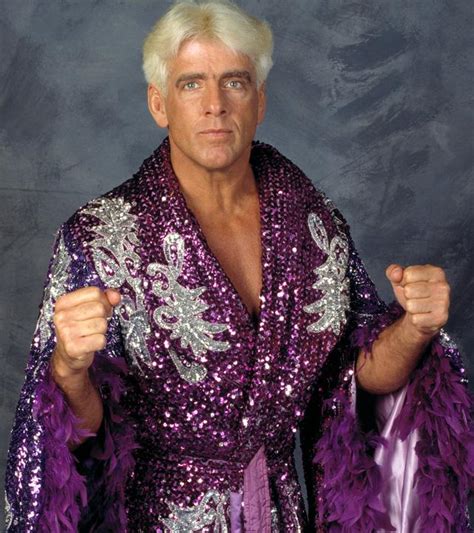 CrazyTights | Ric Flair (robes) - Purple