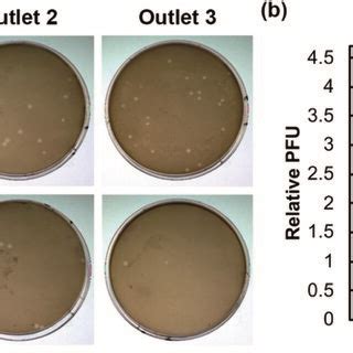 Plaque forming capability of bacteriophage retrieved from the device.... | Download Scientific ...