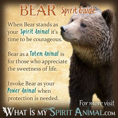 Bear Symbolism & Meaning | Spirit, Totem & Power Animal