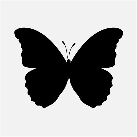 Butterfly vector png 31114445 Vector Art at Vecteezy