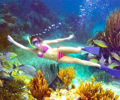 Playa del Carmen Snorkeling | Playa del carmen, Snorkeling, Playa