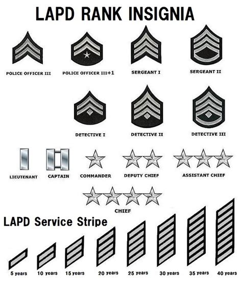 Rank Structure - LAPD Online (2022)