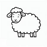 Sheep Coloring Picture Coloring Pages sketch template