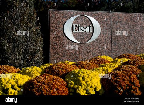 A logo sign outside of a facility occupied by Eisai Pharmaceuticals in ...