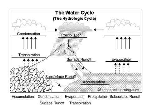 Free hydrologic cycle worksheet, Download Free hydrologic cycle worksheet png images, Free ...