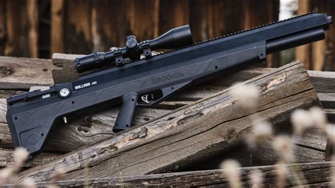 15 Best Air Rifles In 2022 For All Budgets, Skill Levels, and Uses