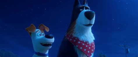 The Secret Life of Pets 2 – DeFacto Film Reviews