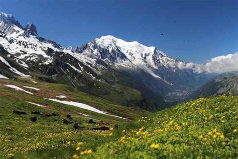 The Ultimate Guide To Hiking/ Trekking in Himachal Pradesh 2024