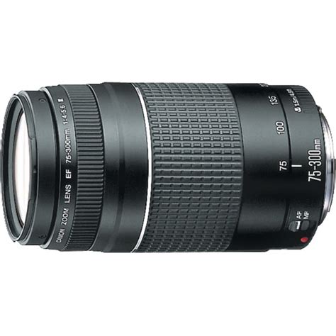 最大47%OFFクーポン Canon EOS EF 75-300mm 一眼レフカメラ レンズ compoliticas.org