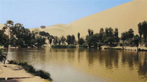 Bahariya Oasis Information you want to know | Bahariya Oasis Egypt